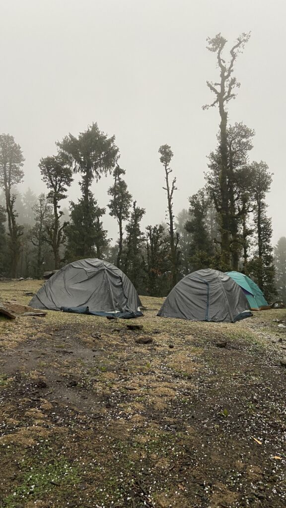 IMG_20240402_085849_198